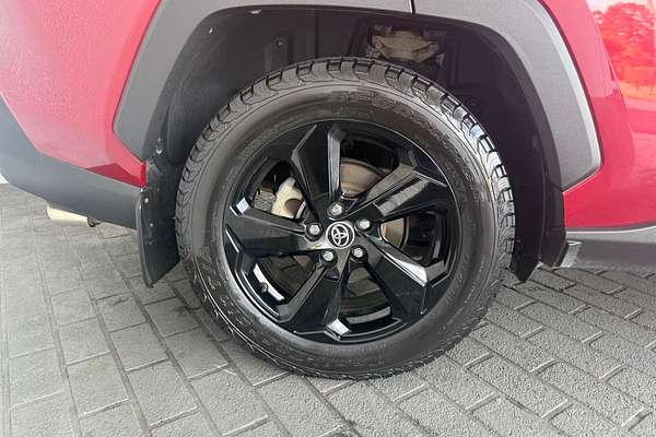 2020 Toyota RAV4 Cruiser AXAH54R