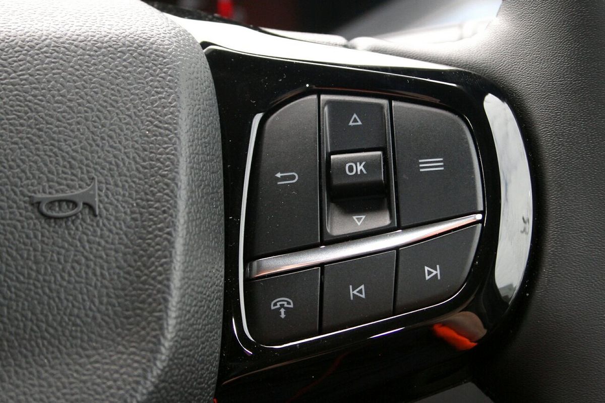 2024 Ford Tourneo Active AV SWB