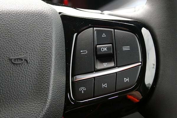 2024 Ford Tourneo Active AV SWB