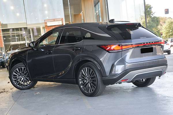 2024 Lexus RX RX350h Sports Luxury AALH15R