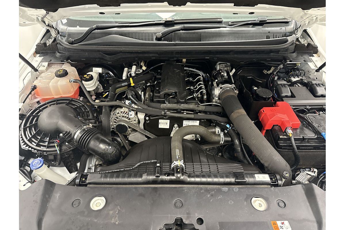 2019 Ford Ranger XL Hi-Rider PX MkIII Rear Wheel Drive