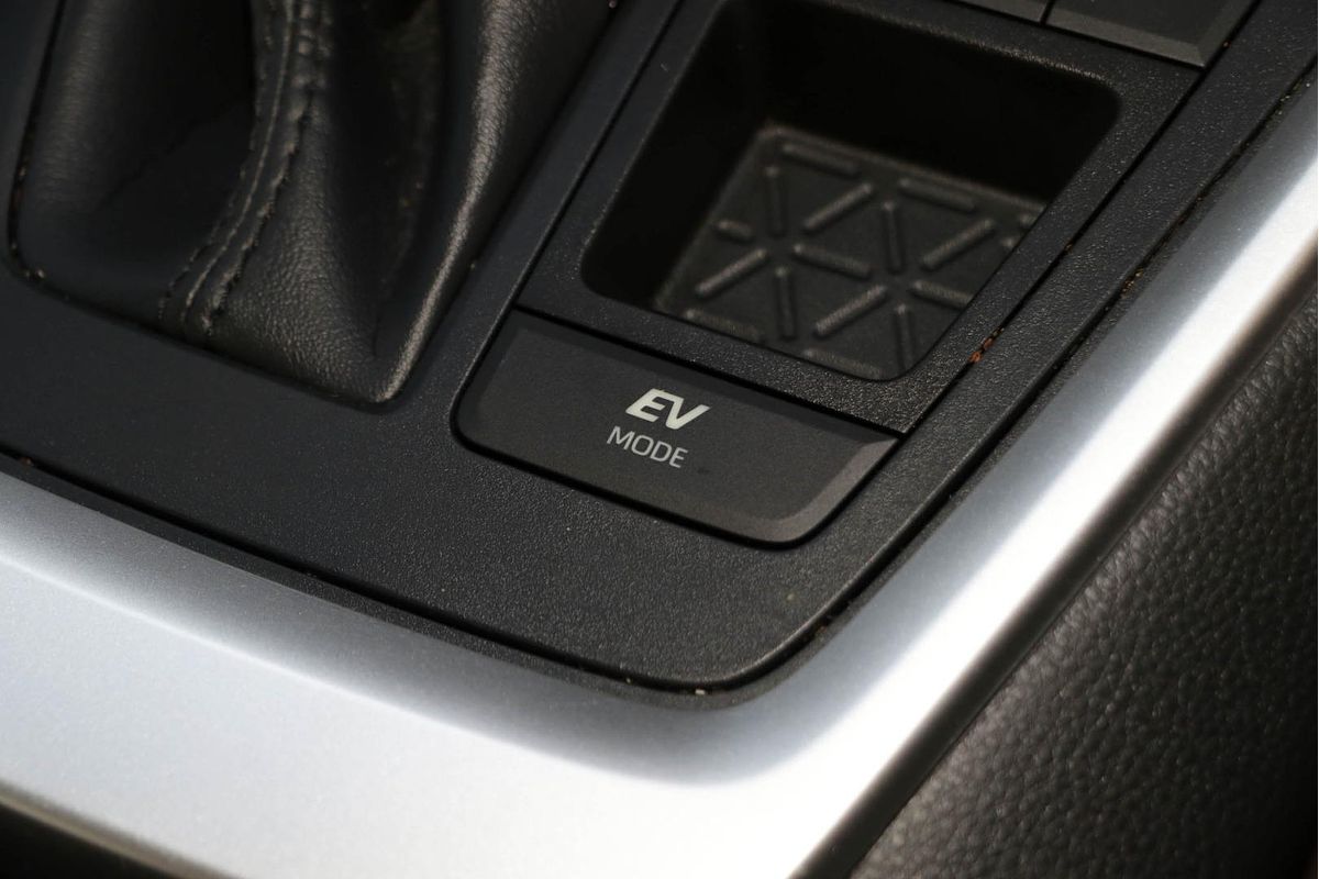 2019 Toyota RAV4 Cruiser AXAH52R