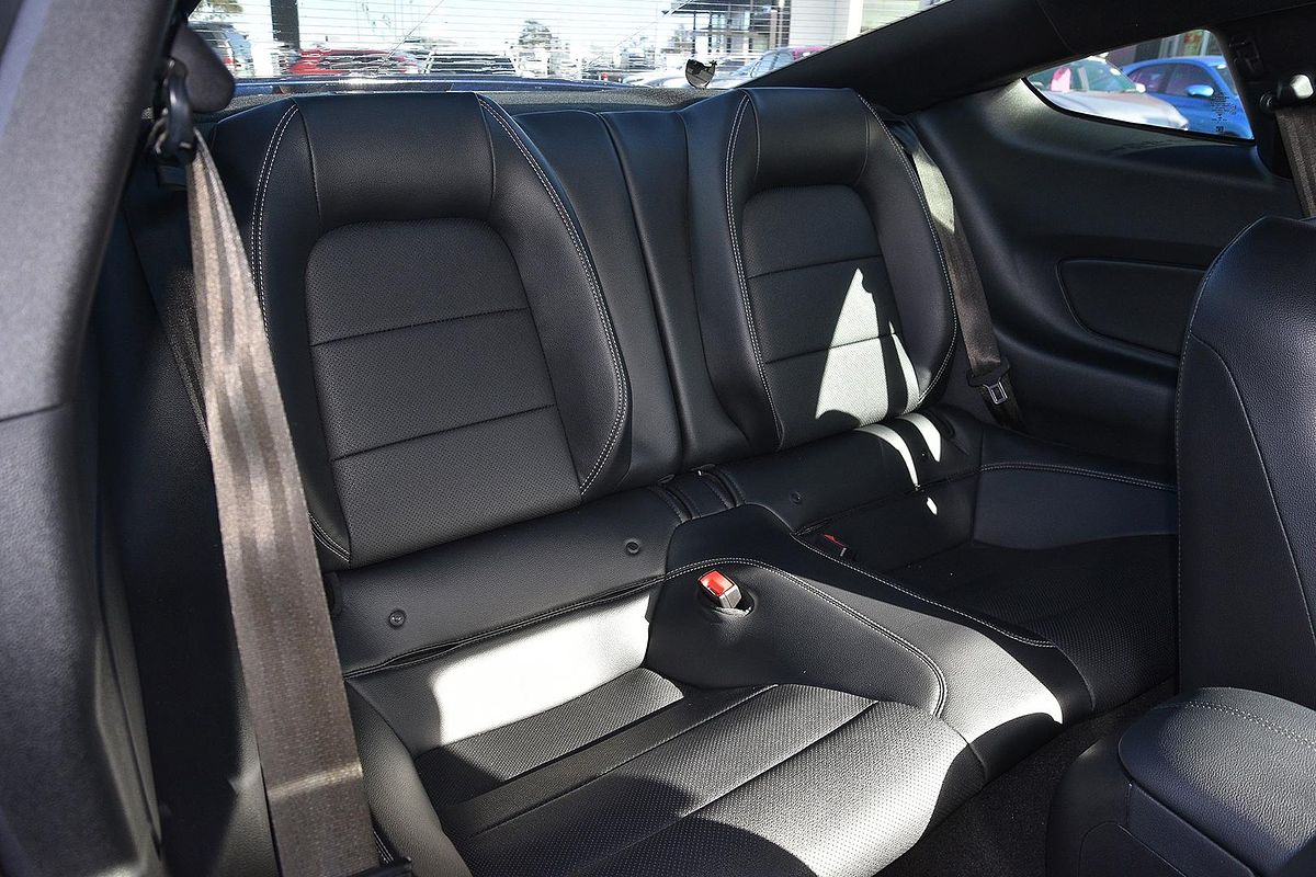 2019 Ford Mustang GT FN