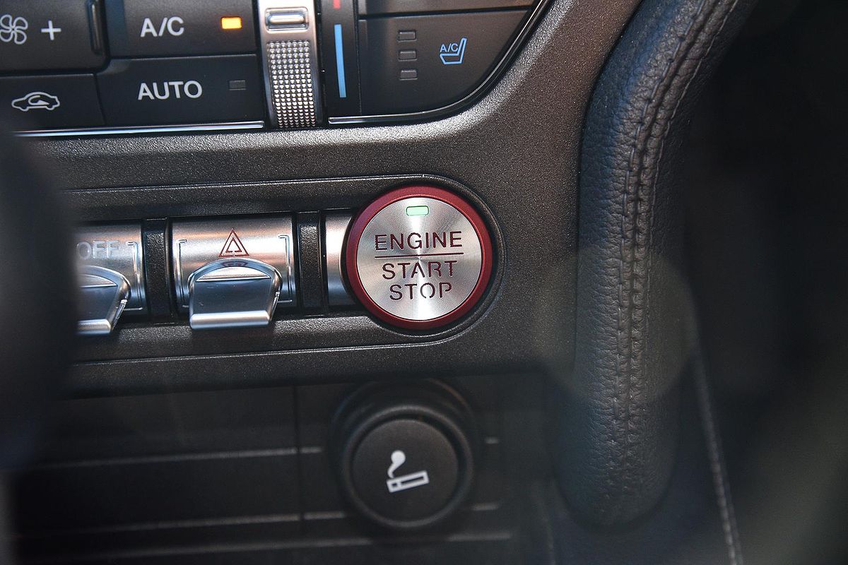 2019 Ford Mustang GT FN