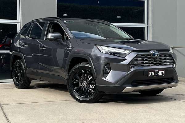 2024 Toyota RAV4 Cruiser AXAH52R