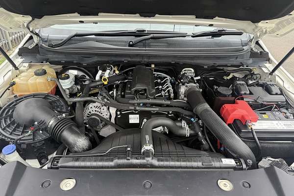 2019 Ford Ranger XL Hi-Rider PX MkIII Rear Wheel Drive 2.2L