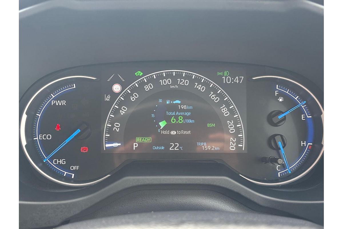 2019 Toyota RAV4 Cruiser AXAH54R