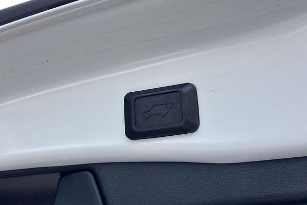 2019 Toyota RAV4 Cruiser AXAH54R