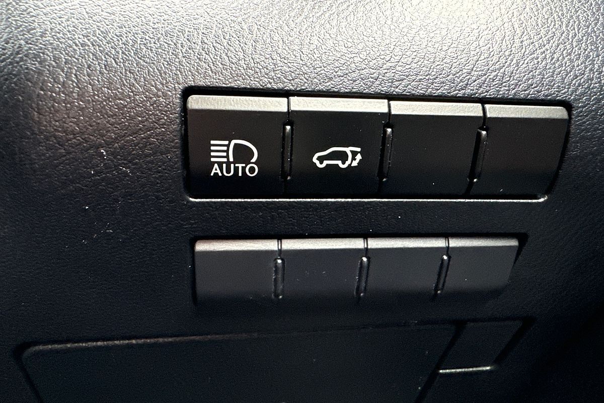2019 Lexus RX RX300 Luxury AGL20R