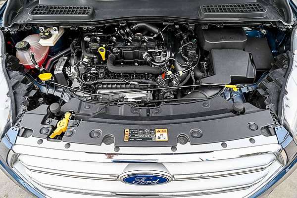 2019 Ford Escape Trend ZG