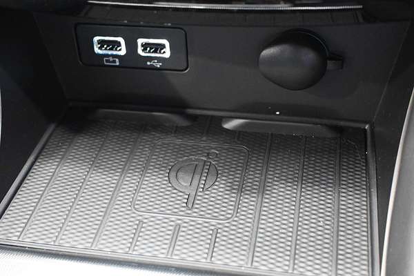 2024 GWM Ute Cannon Vanta NPW 4X4