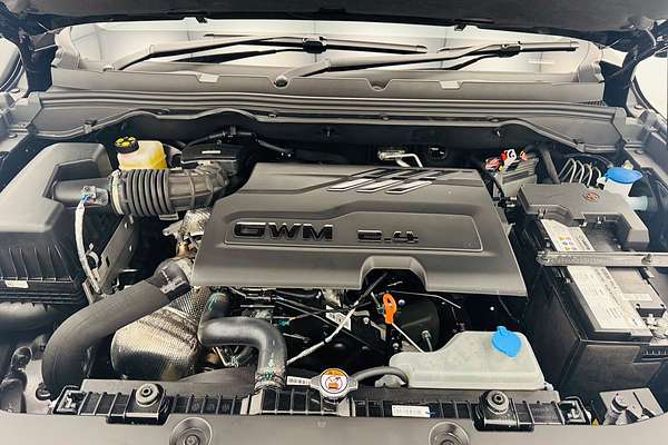 2024 GWM Ute Cannon XSR NPW 4X4