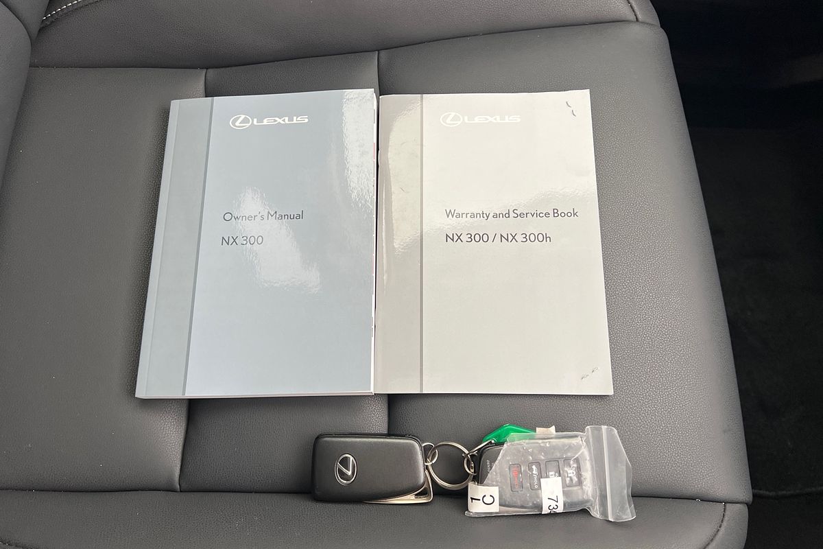 2021 Lexus NX NX300 Crafted Edition AGZ10R