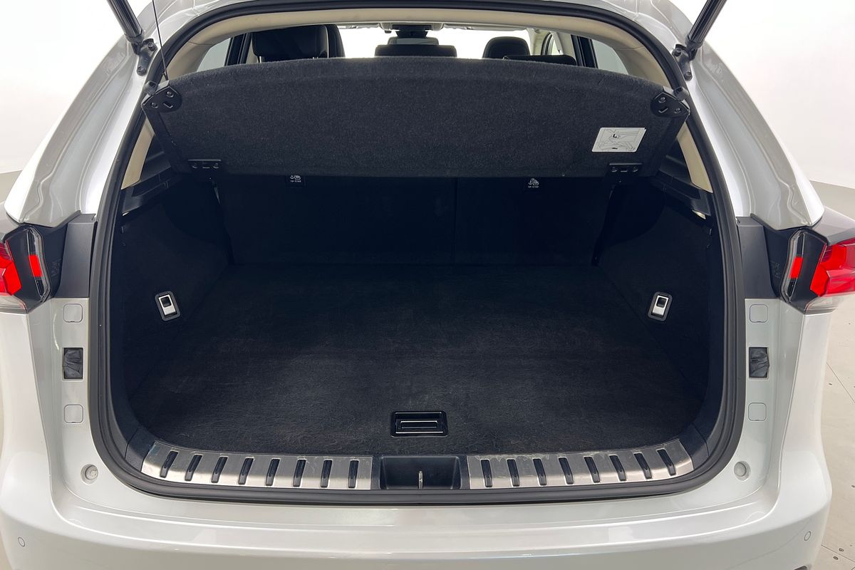 2021 Lexus NX NX300 Crafted Edition AGZ10R