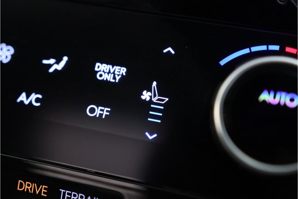 2024 Hyundai Santa Fe Hybrid Calligraphy MX5.V1