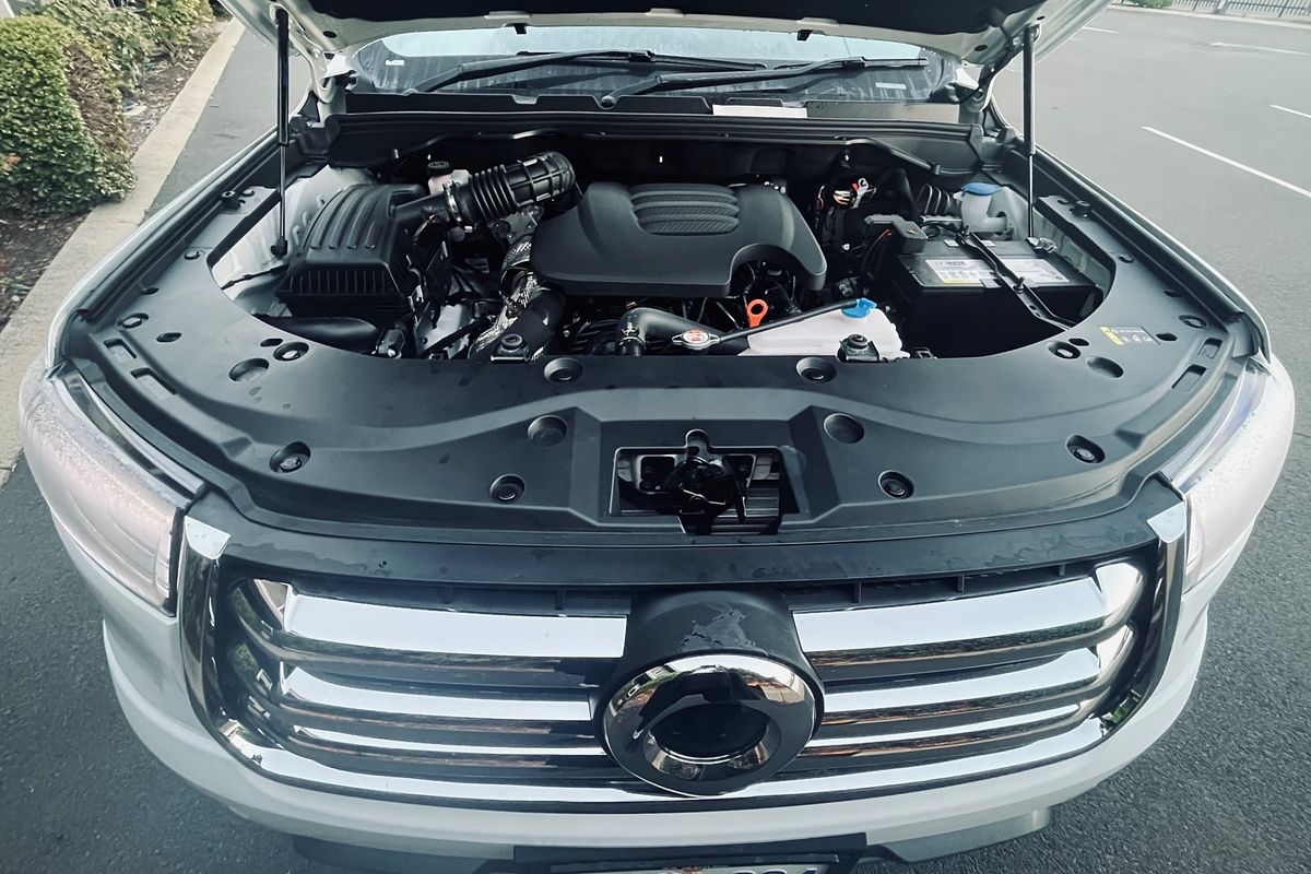 2022 GWM Ute Cannon-X NPW 4X4