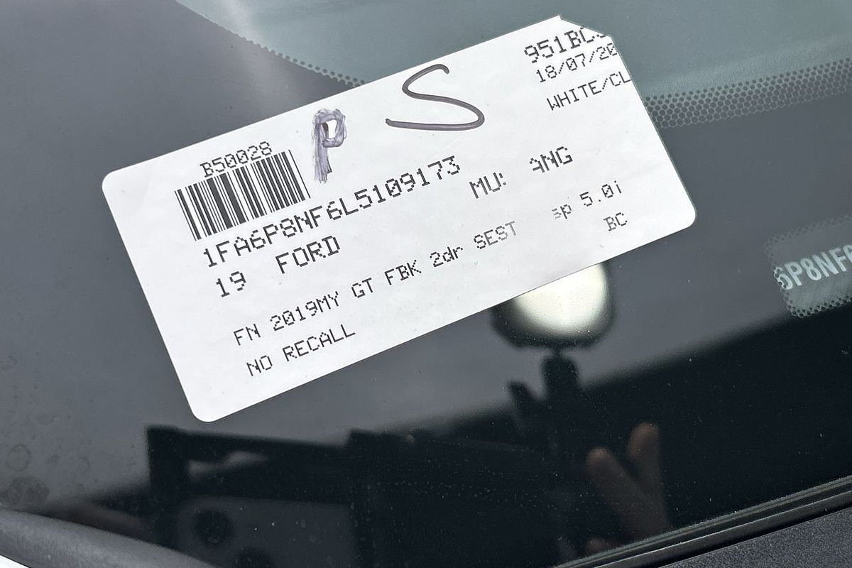 2019 Ford Mustang GT FN