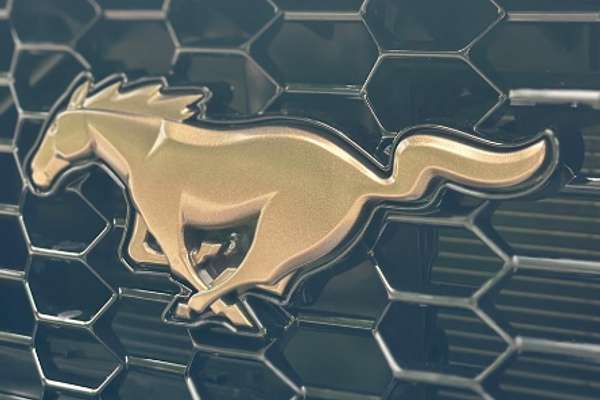 2025 Ford Mustang GT FO