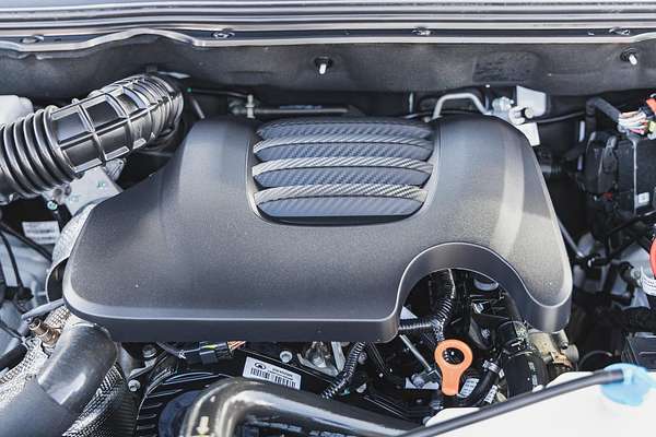 2022 GWM Ute Cannon Vanta NPW 4X4