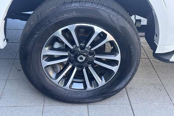 2024 GWM Cannon Alpha Ultra Hybrid P05 4X4