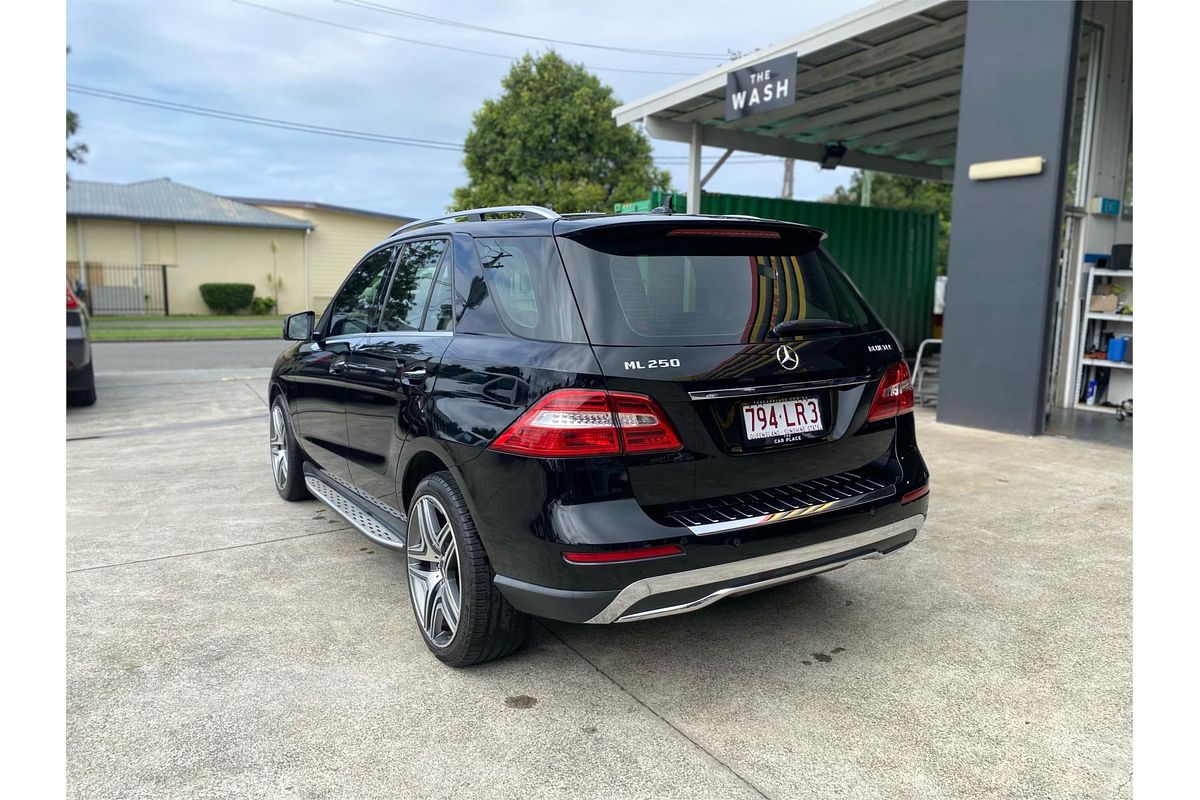 2014 Mercedes-Benz M-Class ML250 BlueTEC W166
