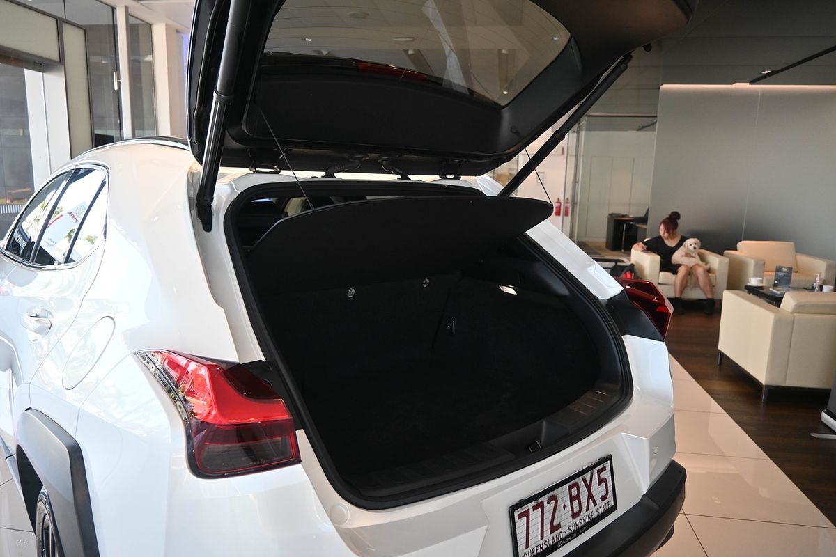 2021 Lexus UX UX200 Luxury MZAA10R