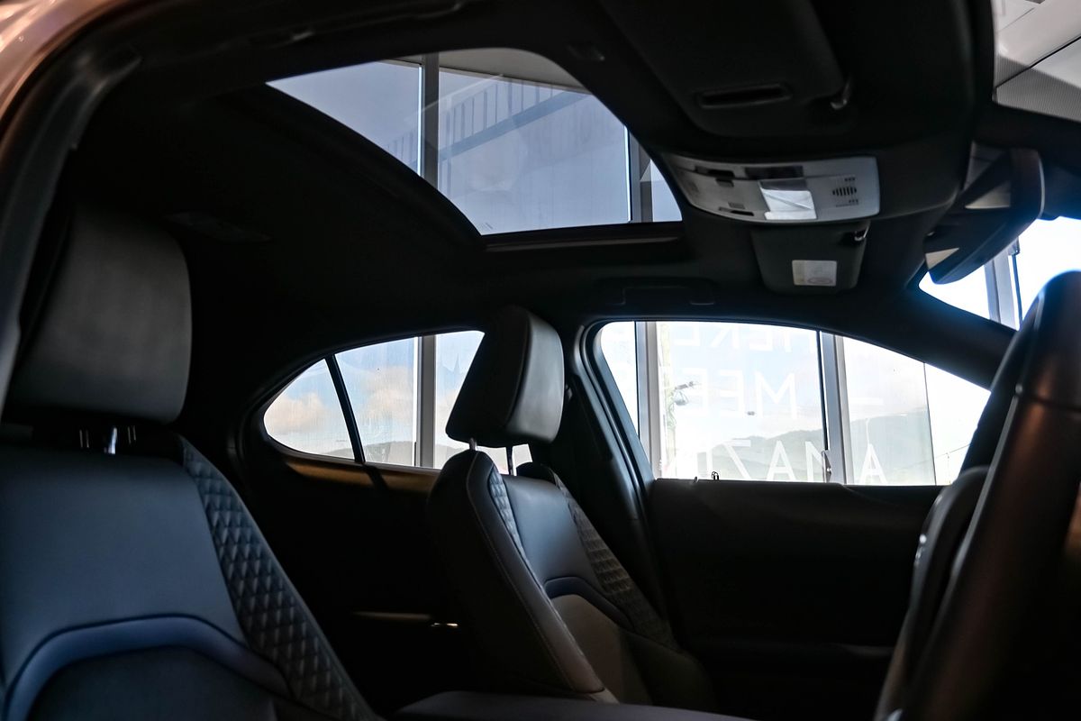 2021 Lexus UX UX200 Luxury MZAA10R