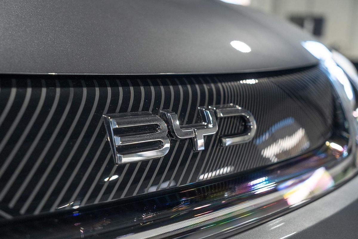2024 BYD Dolphin Dynamic