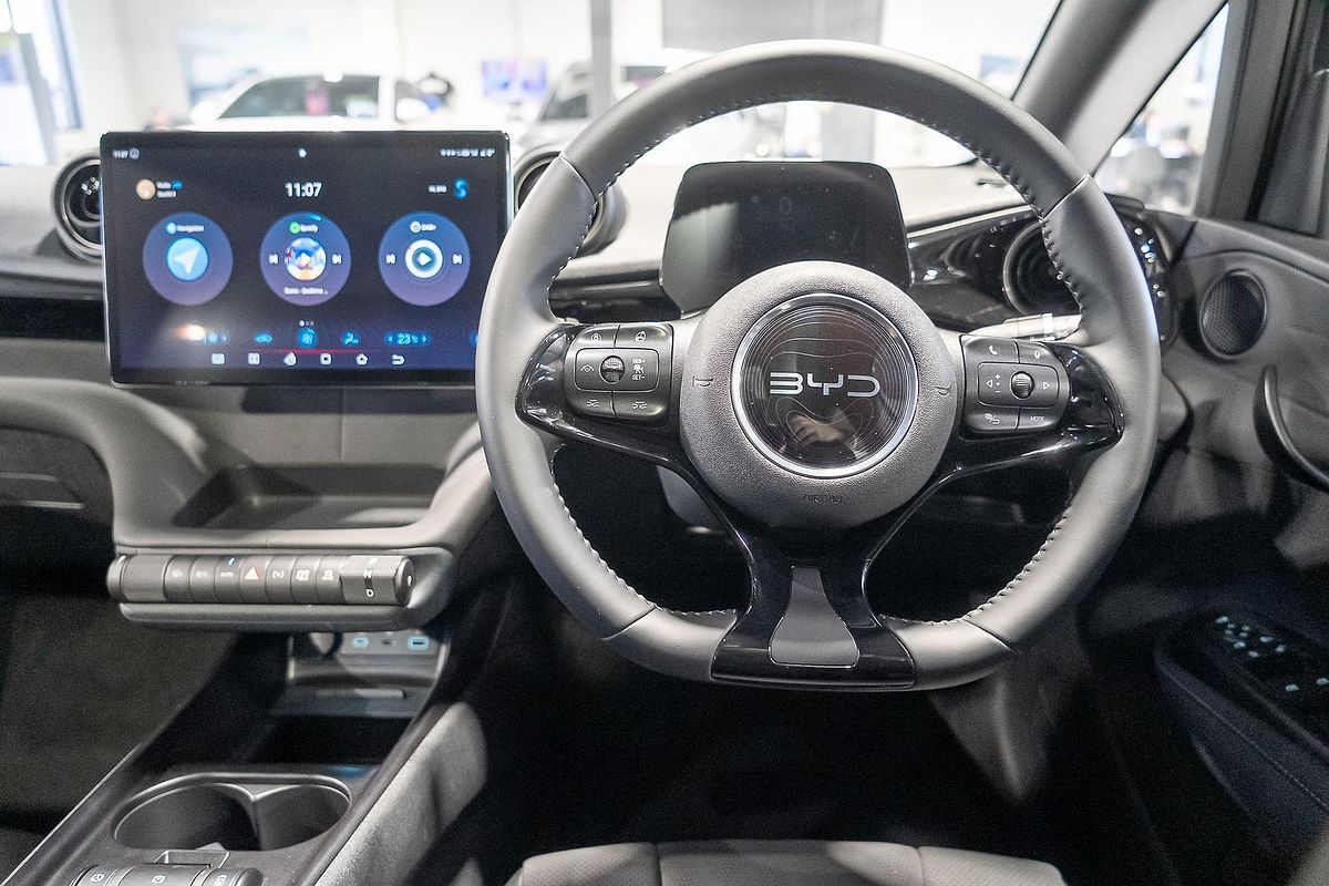 2024 BYD Dolphin Dynamic