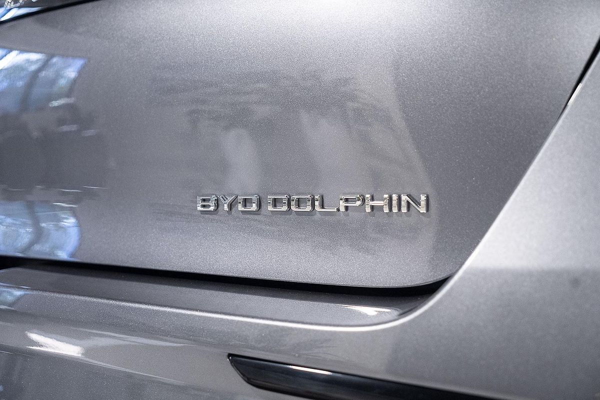 2024 BYD Dolphin Dynamic
