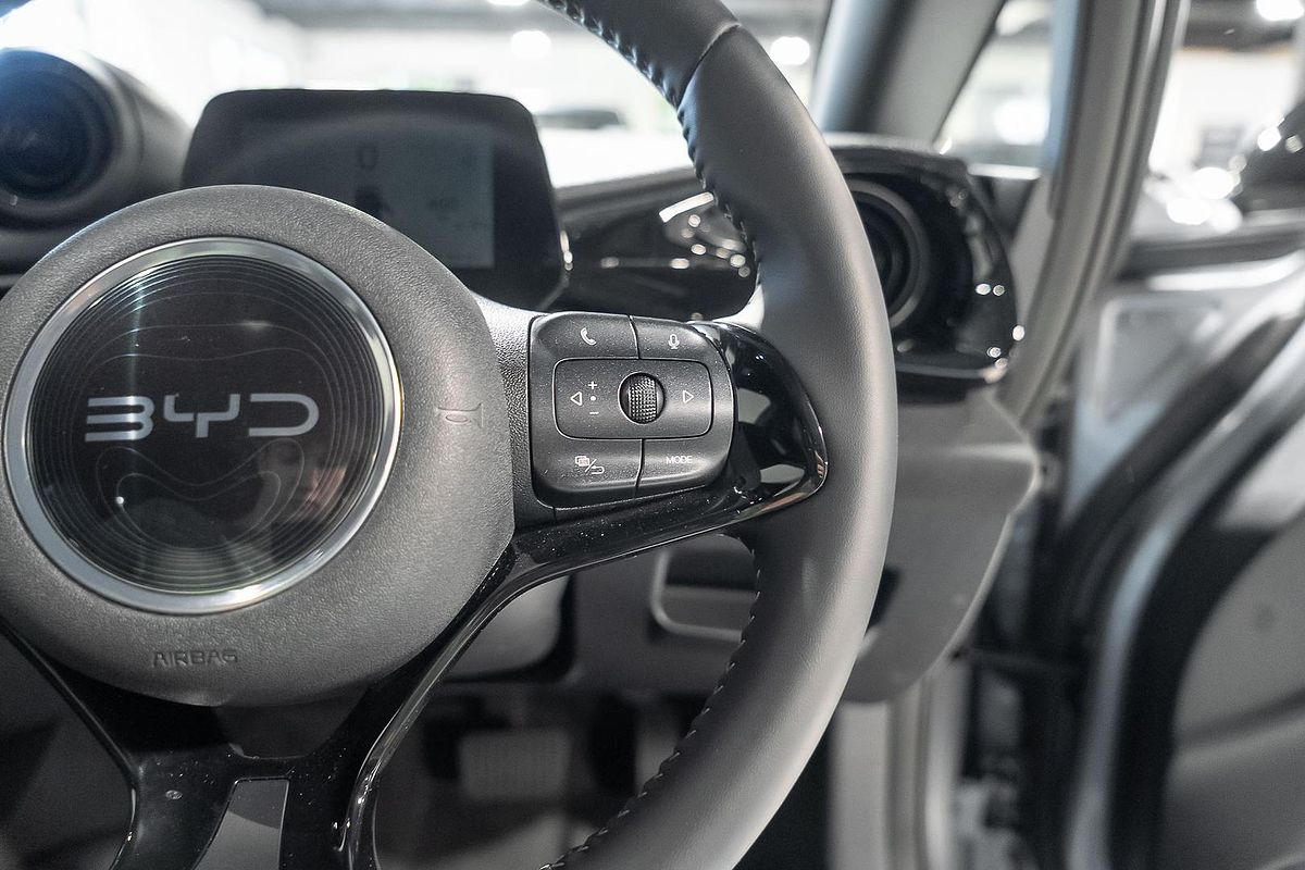 2024 BYD Dolphin Dynamic