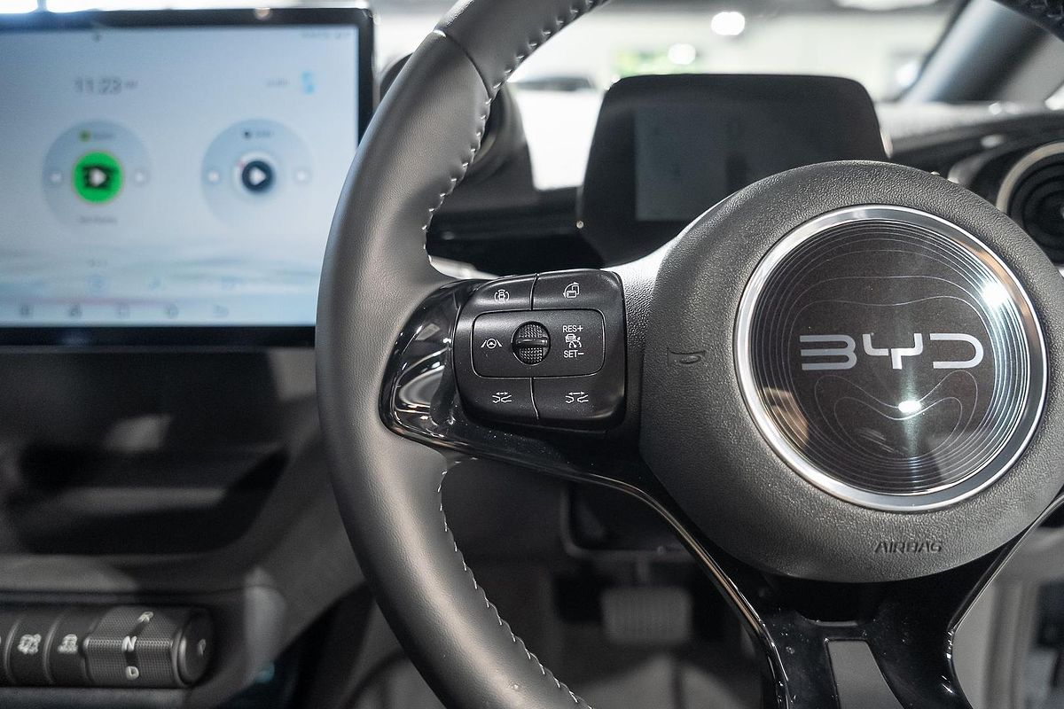 2024 BYD Dolphin Dynamic