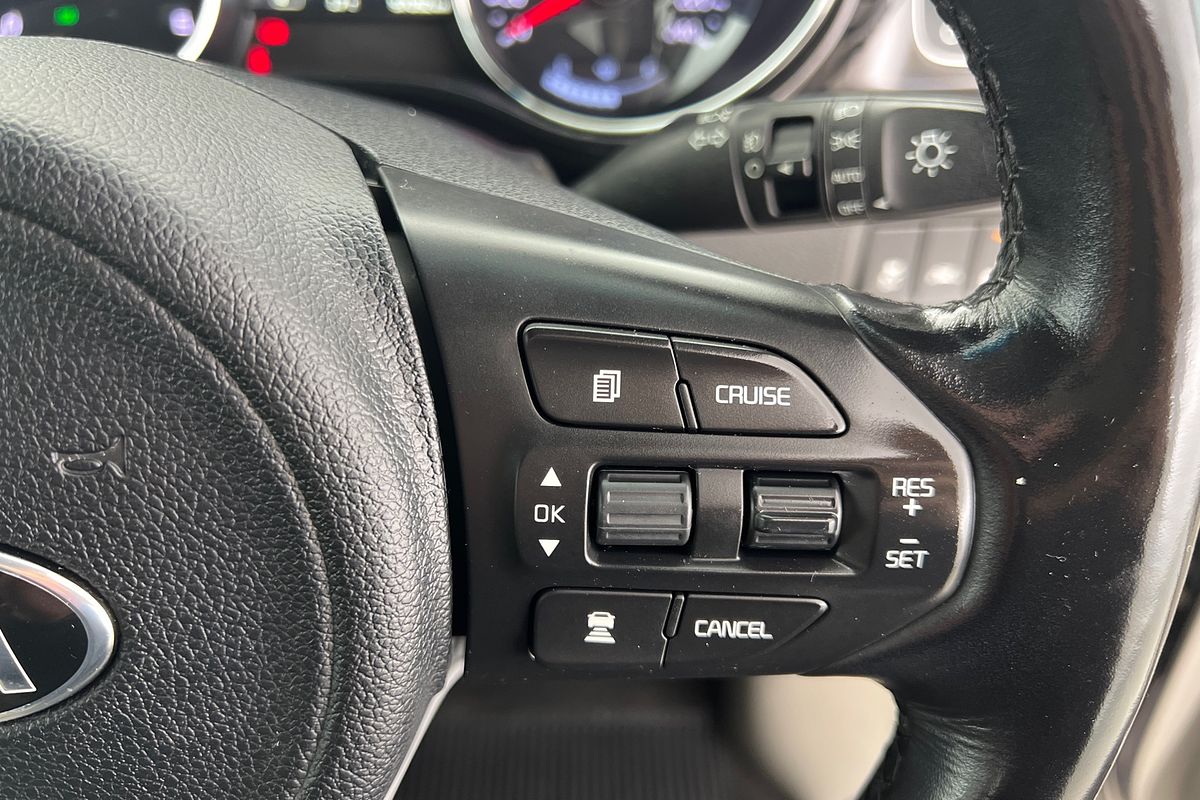 2017 Kia Carnival Platinum YP