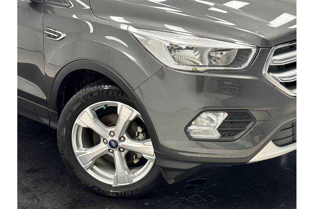 2019 Ford Escape Trend ZG