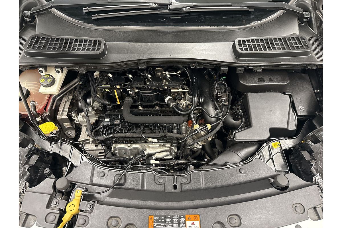 2019 Ford Escape Trend ZG
