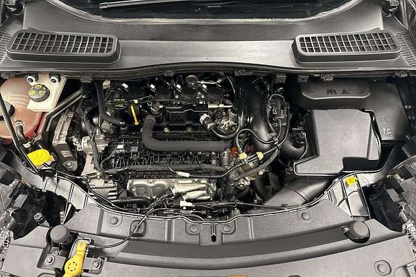2019 Ford Escape Trend ZG
