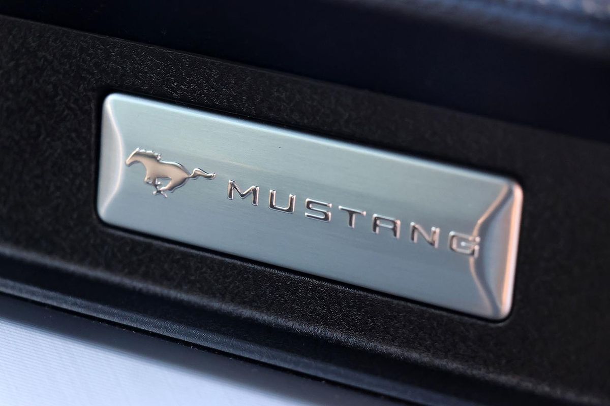 2019 Ford Mustang GT FN
