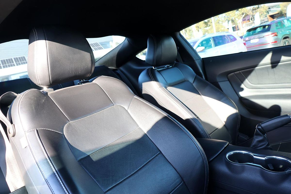 2019 Ford Mustang GT FN