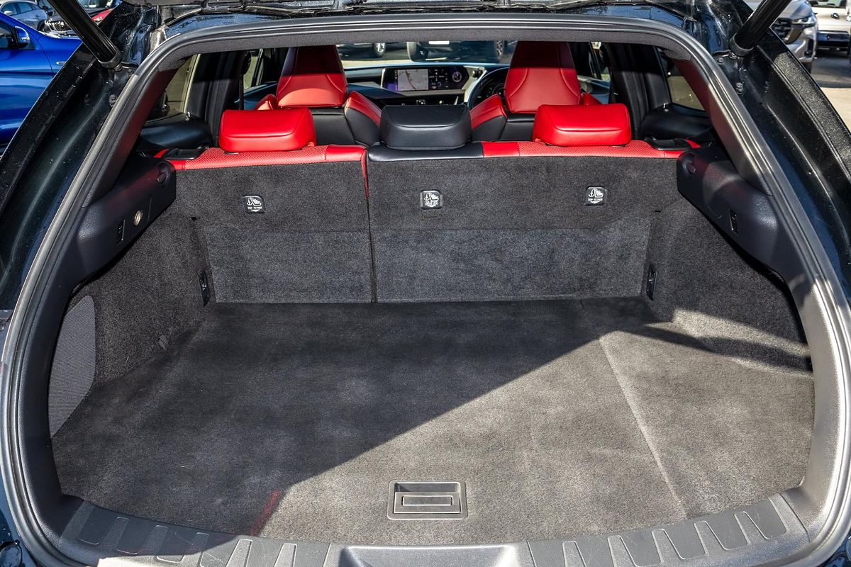 2021 Lexus UX UX250h F Sport MZAH10R