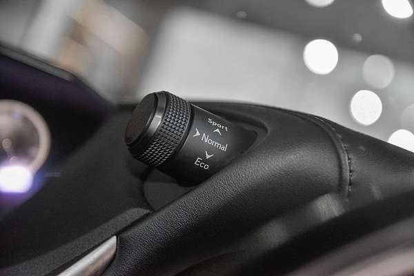 2020 Lexus ES ES300h Sports Luxury AXZH10R