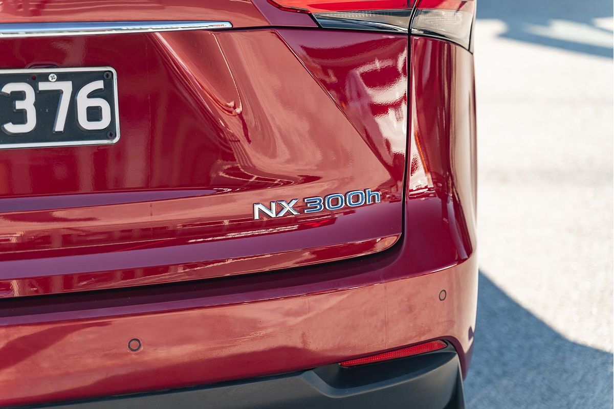 2017 Lexus NX NX300h Luxury AYZ10R