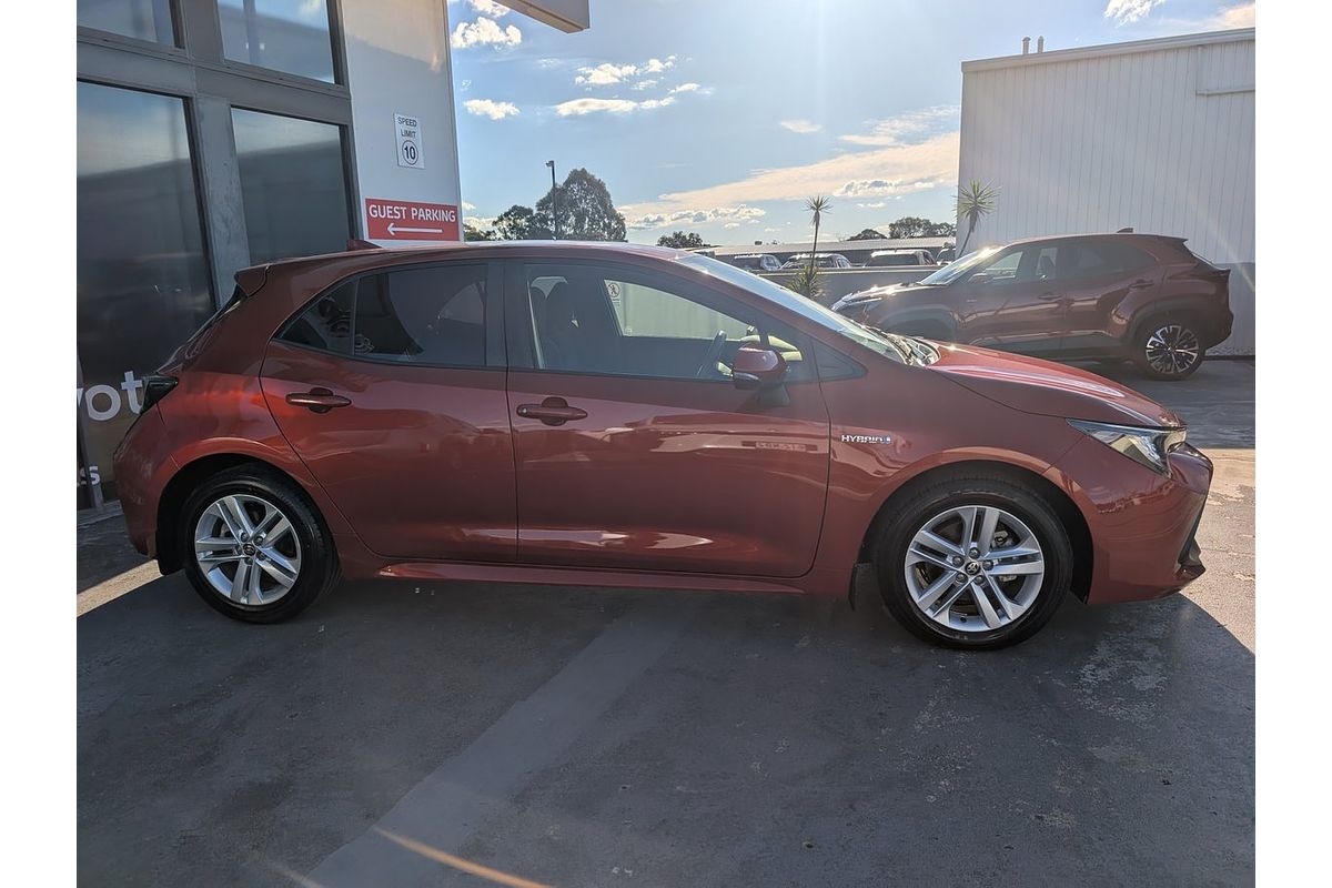 2019 Toyota Corolla