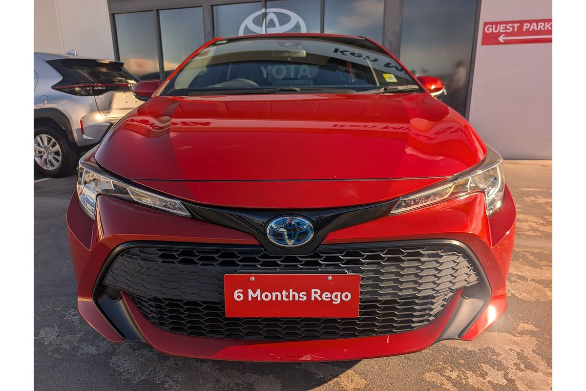 2019 Toyota Corolla