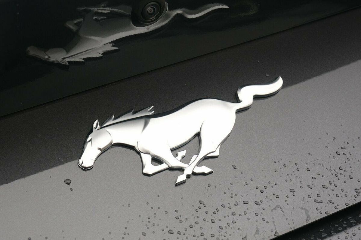 2024 Ford Mustang Ecoboost FO