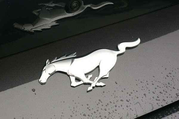 2024 Ford Mustang Ecoboost FO