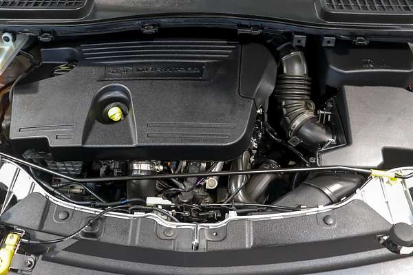 2019 Ford Escape Trend ZG