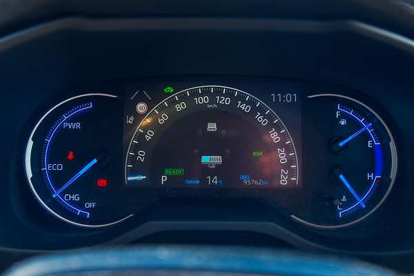 2019 Toyota RAV4 Cruiser AXAH54R