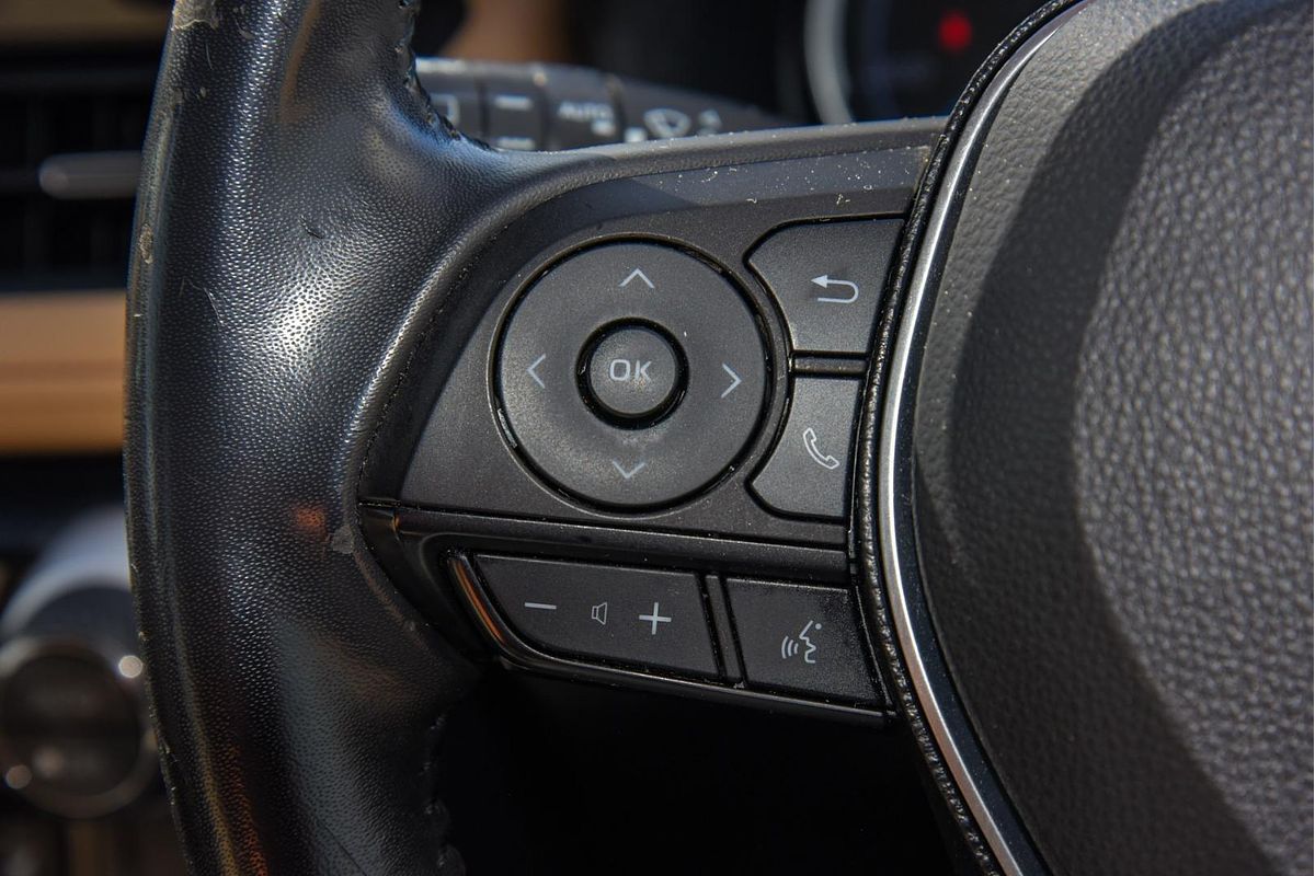 2019 Toyota RAV4 Cruiser AXAH54R