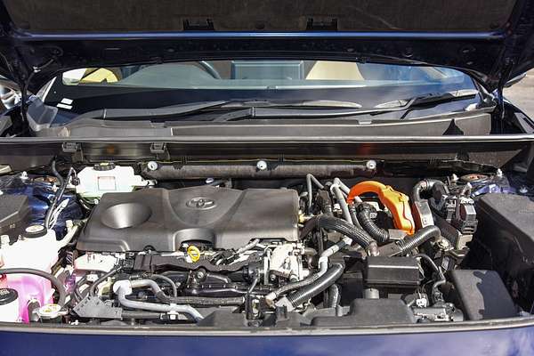 2019 Toyota RAV4 Cruiser AXAH54R