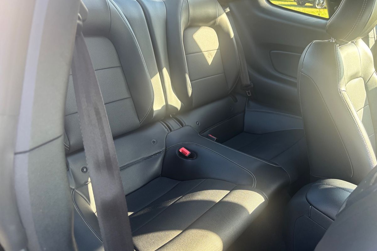 2019 Ford Mustang  FN